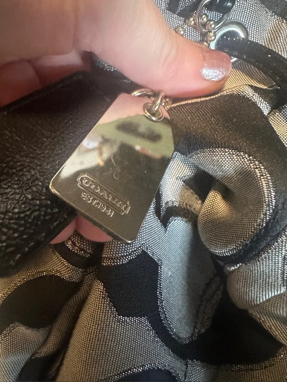 Coach Y2K Poppy Sig. Sateen Lurex Outline Flap Drawstring Backpack MSRP: $278
